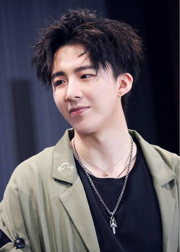 刘宇宁 从网络歌手到全能艺人的璀璨星途与专业经纪支持